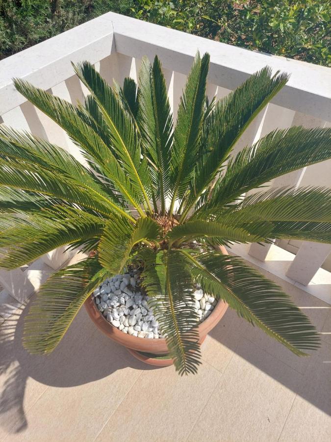 Apartments Zulim Trogir Exterior foto